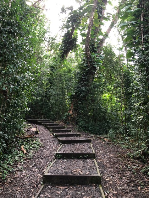 Beginning of the trail 